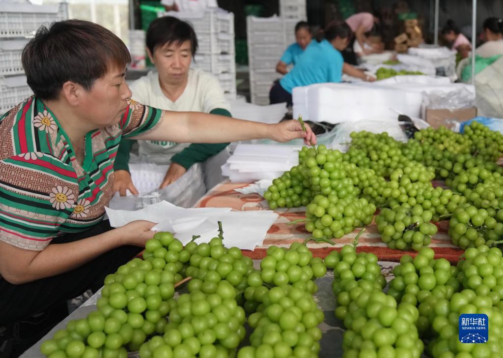 充值的棋牌